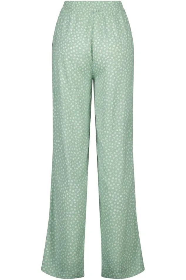 Broeken<America Today Broek Pixie Multicolour|Sage