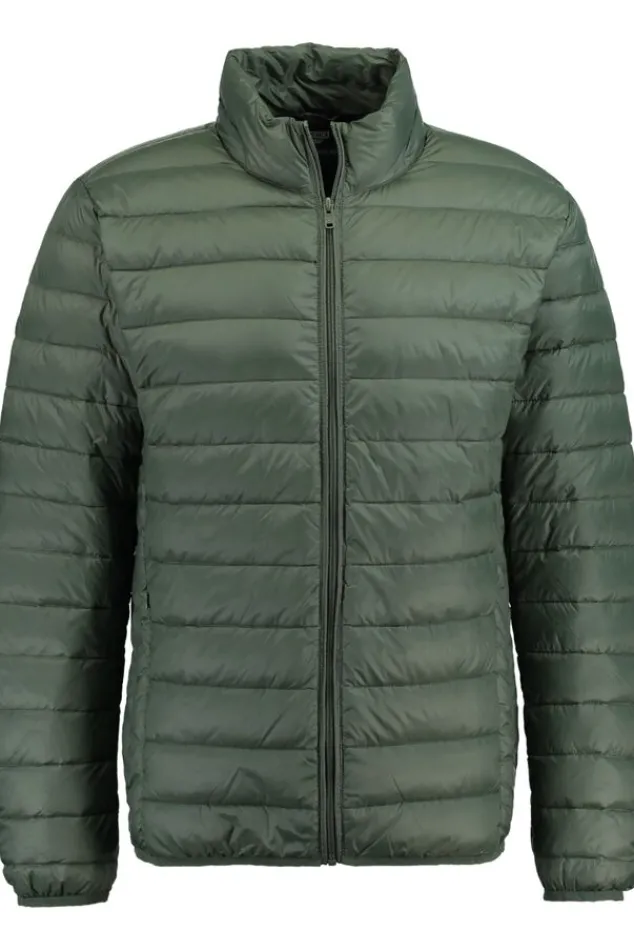 Jassen<America Today Gewatteerde jas Black|Army