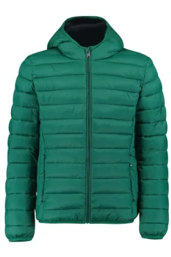 Jassen<America Today Gewatteerde jas capuchon Black|Midnight|Red|Hardgreen