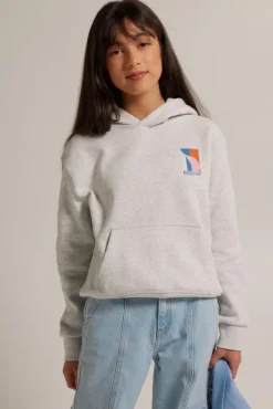 Truien & Vesten<America Today Hoodie Sarah JR Lightgreymelange