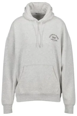 Truien & Vesten|Sweaters & hoodies<America Today Hoodie Sol Lightgreymelange|Washedblack