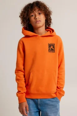 Truien & Vesten|Sweaters & hoodies<America Today Hoodie Stern hood JR Orange