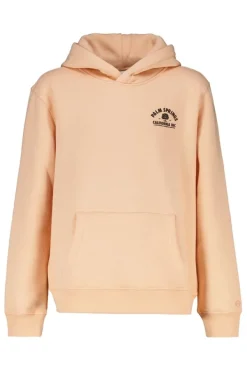 Truien & Vesten<America Today Hoodie Stevie hood jr Peach