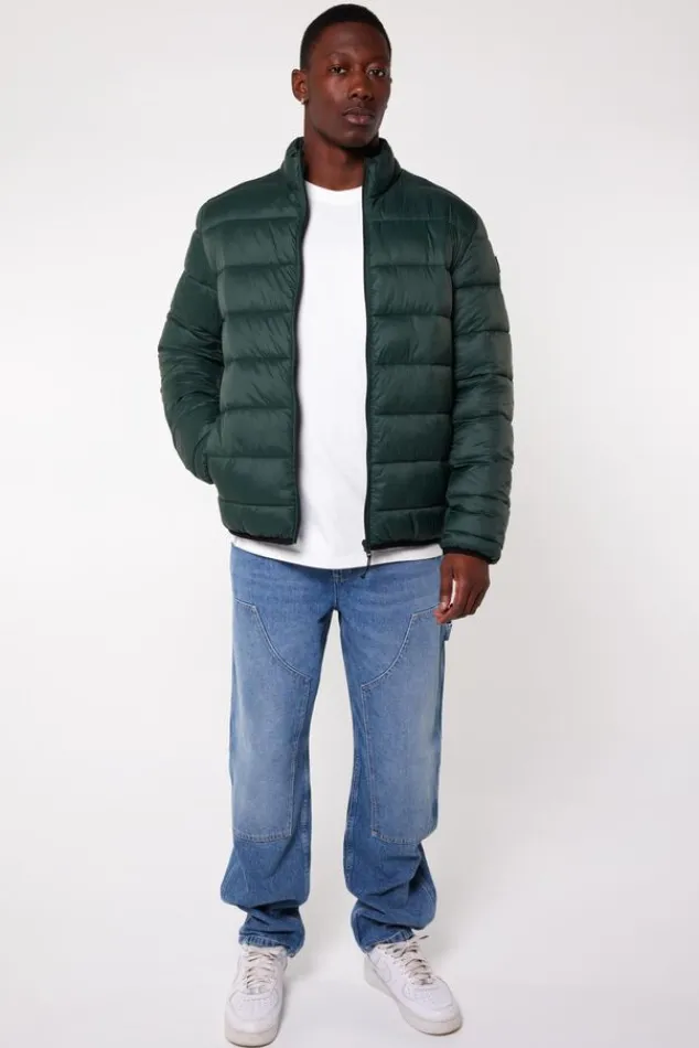 Jassen<America Today Jas Jim Black|Green