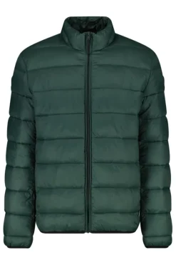 Jassen<America Today Jas Jim Black|Green