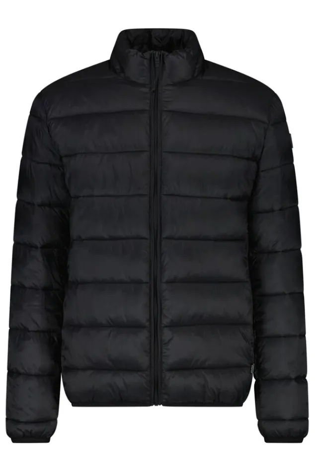 Jassen<America Today Jas Jim Black|Green