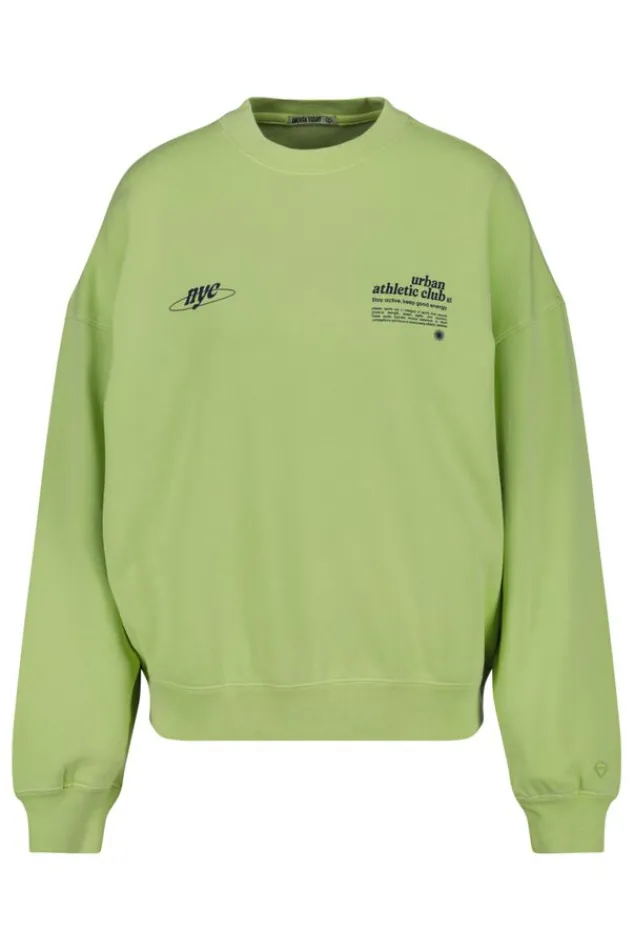 Truien & Vesten|Sweaters & hoodies<America Today Sweater Seb Lightgrey|Lime
