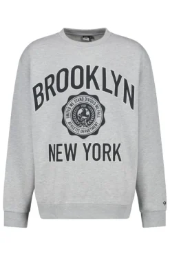 Truien & Vesten|Sweaters & hoodies<America Today Sweater Sepp Crew Midgreymelange