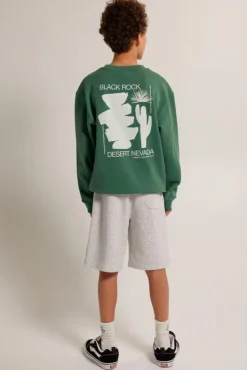 Truien & Vesten|Sweaters & hoodies<America Today Sweater Sky Crew JR Lightgrey|Greencast