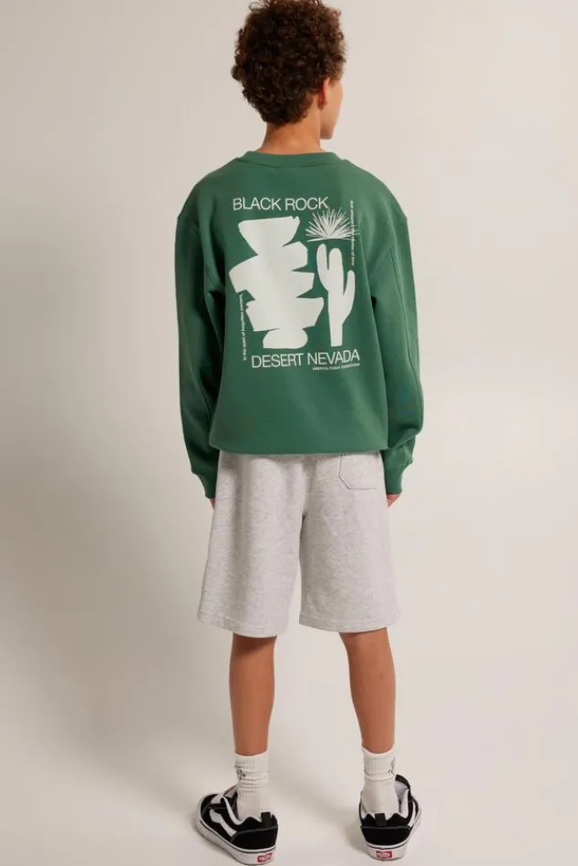 Truien & Vesten|Sweaters & hoodies<America Today Sweater Sky Crew JR Lightgrey|Greencast