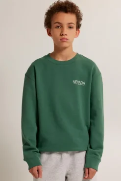 Truien & Vesten|Sweaters & hoodies<America Today Sweater Sky Crew JR Lightgrey|Greencast