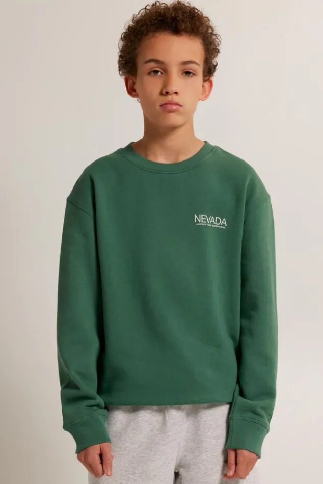 Truien & Vesten|Sweaters & hoodies<America Today Sweater Sky Crew JR Lightgrey|Greencast