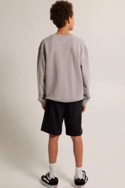 Truien & Vesten|Sweaters & hoodies<America Today Sweater Sky Crew JR Lightgrey|Greencast