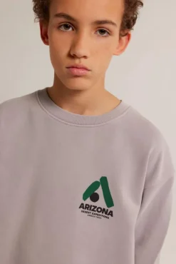 Truien & Vesten|Sweaters & hoodies<America Today Sweater Sky Crew JR Lightgrey|Greencast