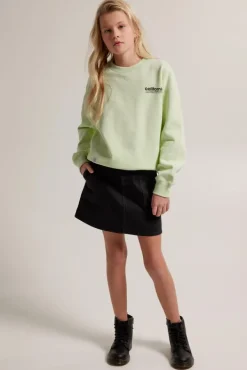 Truien & Vesten|Sweaters & hoodies<America Today Sweater Stella JR Lightgreymelange|Darkblue|Lime
