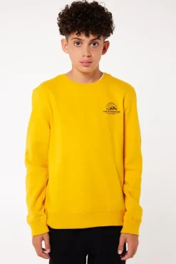 Truien & Vesten|Sweaters & hoodies<America Today Sweater Stray Crew JR Yellow
