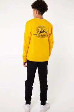 Truien & Vesten|Sweaters & hoodies<America Today Sweater Stray Crew JR Yellow