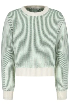 Truien & Vesten<America Today Trui Kali JR Sage|Lilac