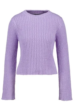 Truien & Vesten<America Today Trui Koko Lilac/purple|Kit