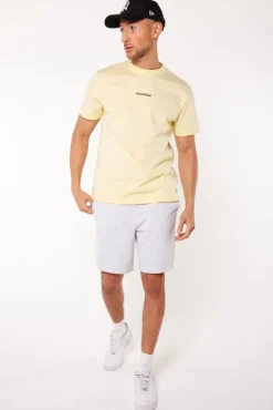 T-shirts & Polo's<America Today T-shirt Elroy Lightyellow