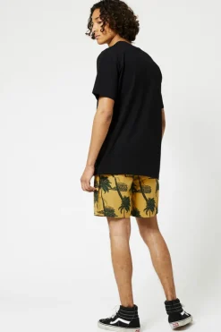 T-shirts & Polo's<America Today T-shirt Eric Black|Black/white|White/blue|Offwhite